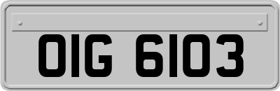 OIG6103