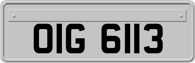 OIG6113