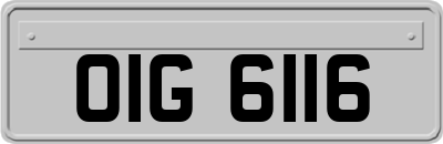OIG6116