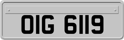OIG6119