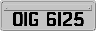 OIG6125