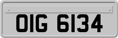 OIG6134