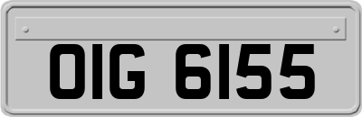 OIG6155