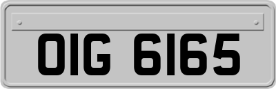 OIG6165