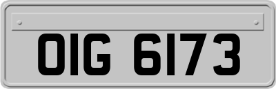 OIG6173
