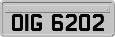 OIG6202