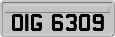 OIG6309