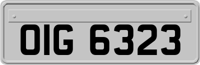 OIG6323