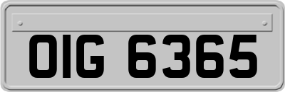 OIG6365