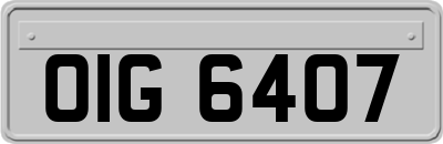 OIG6407