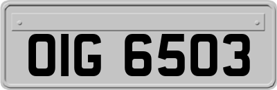 OIG6503