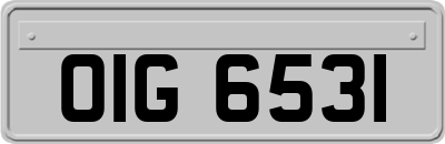 OIG6531
