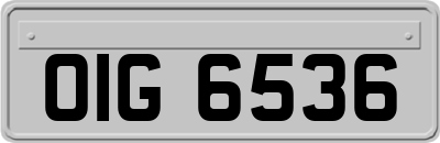 OIG6536