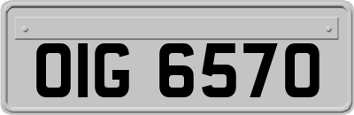 OIG6570