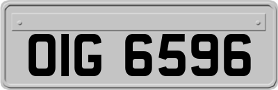 OIG6596