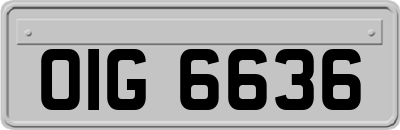 OIG6636