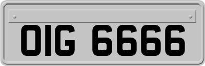 OIG6666