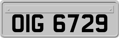 OIG6729