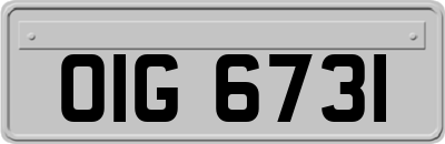 OIG6731