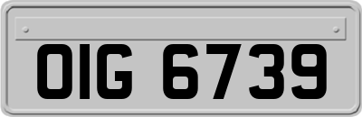 OIG6739