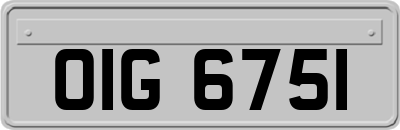 OIG6751