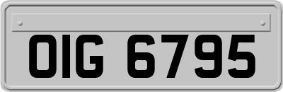 OIG6795