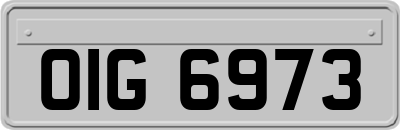 OIG6973