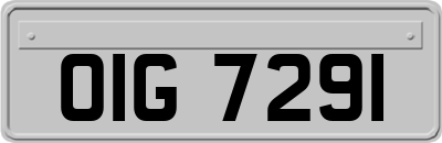 OIG7291