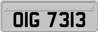 OIG7313