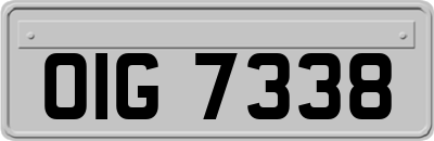 OIG7338