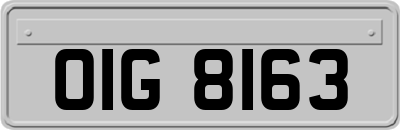 OIG8163