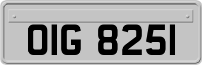 OIG8251