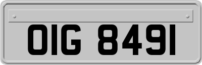 OIG8491