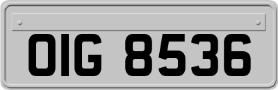 OIG8536