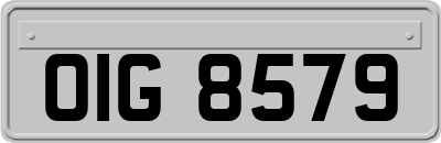 OIG8579