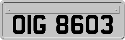 OIG8603