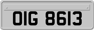 OIG8613