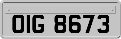 OIG8673