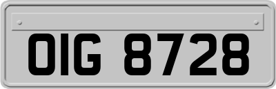 OIG8728