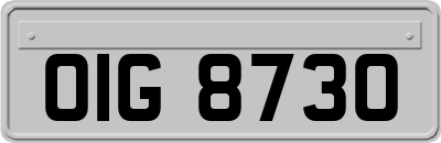 OIG8730