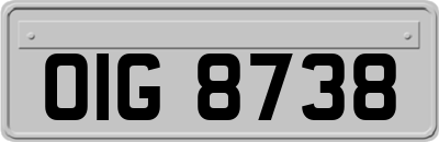OIG8738