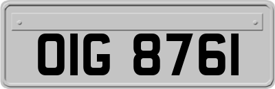 OIG8761