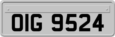 OIG9524