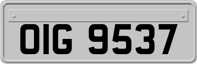 OIG9537