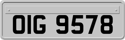OIG9578