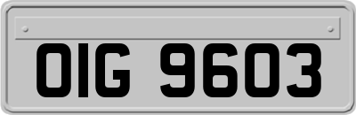 OIG9603