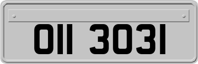 OII3031