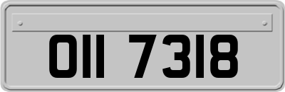 OII7318