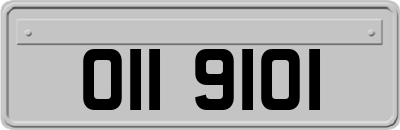 OII9101