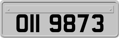 OII9873